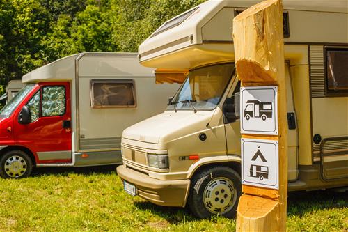 Eco camping Fruska gora photo 4