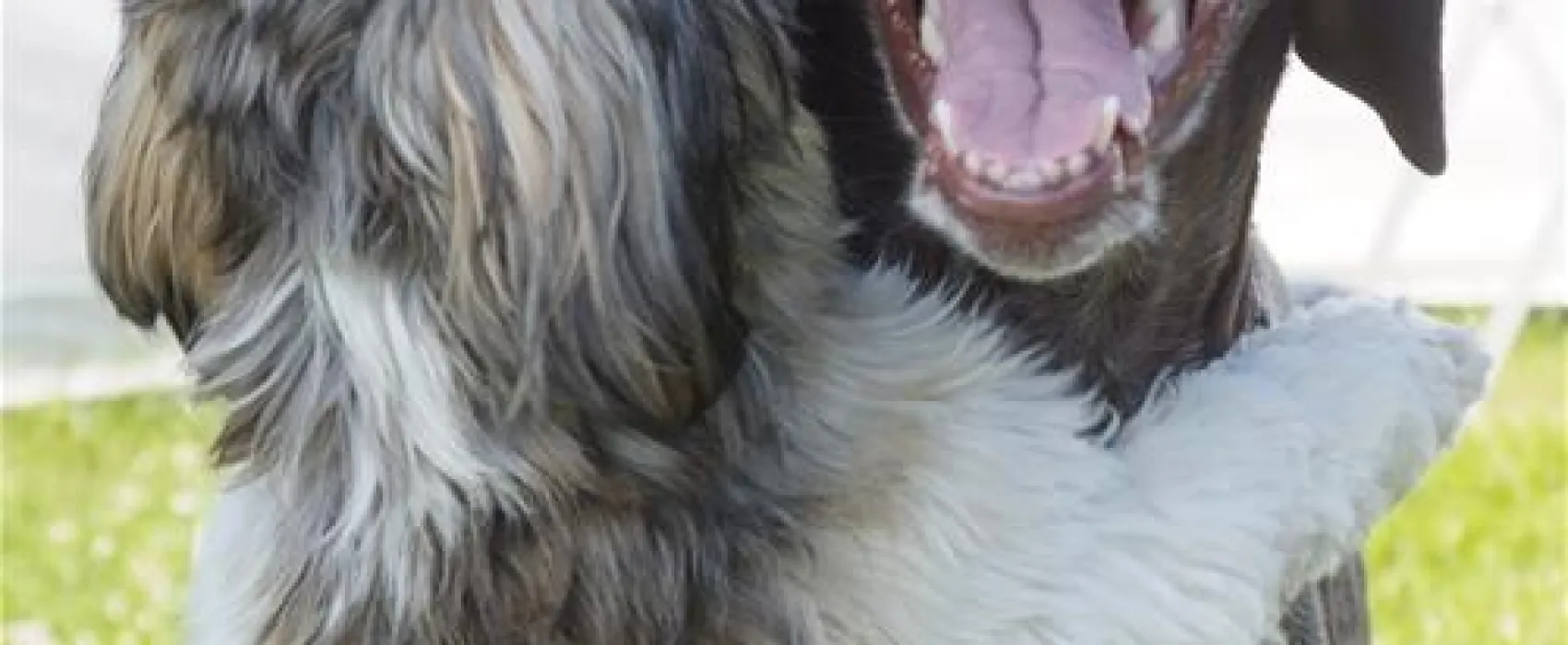 Rosenvold Strand Camping