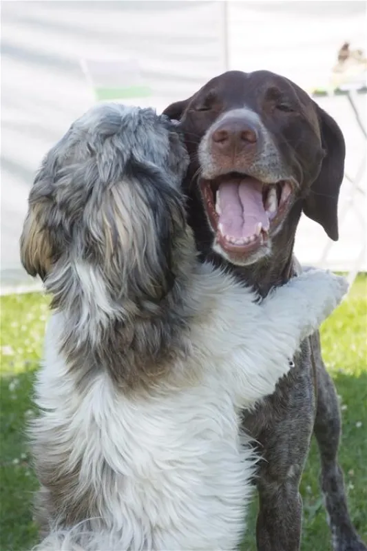 Rosenvold Strand Camping
