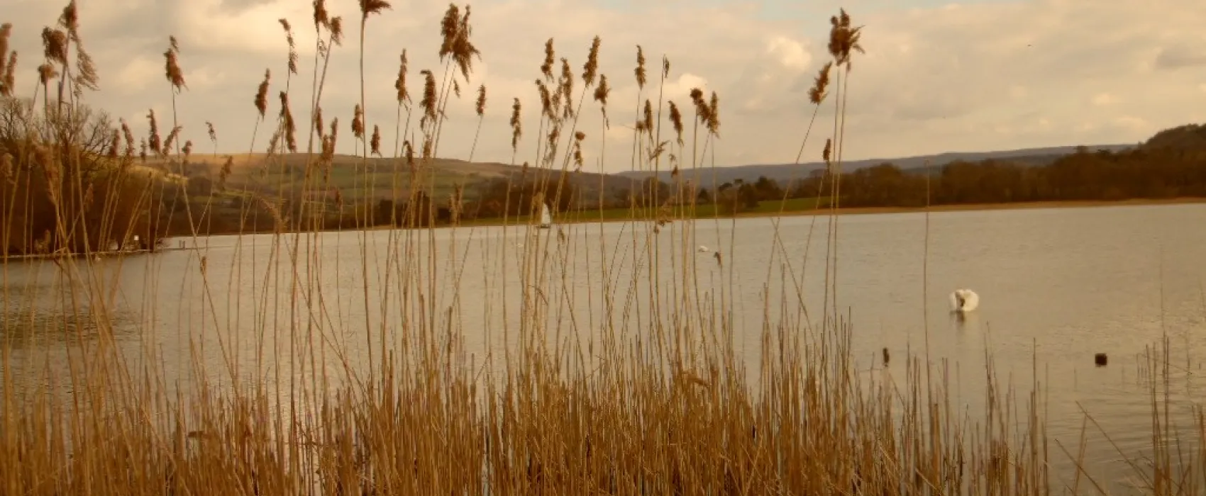 Lakeside Caravan Park