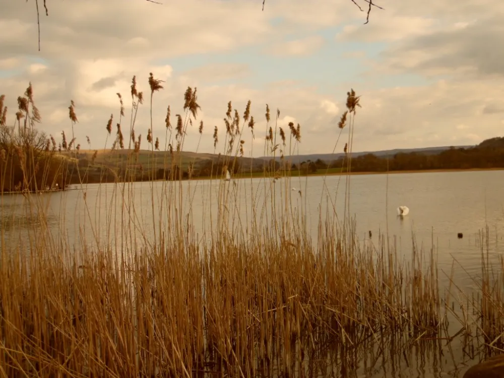 Lakeside Caravan Park