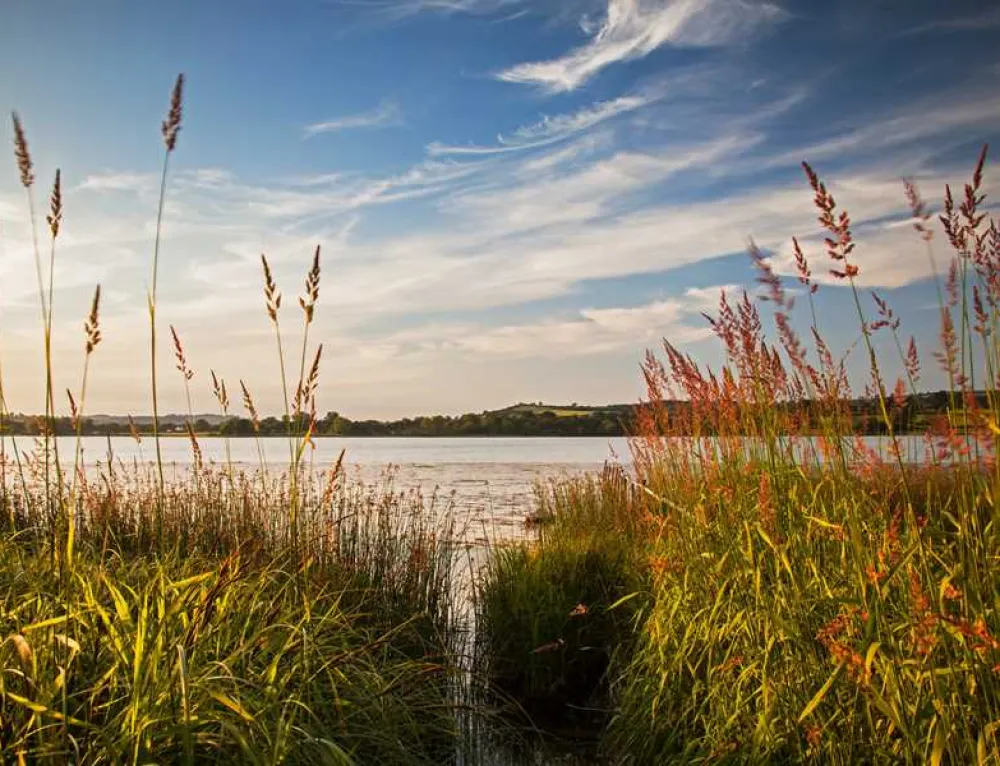 Lakeside Caravan Park