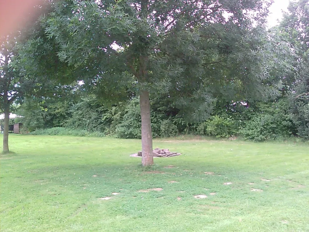 Campingplatz Frielendorf