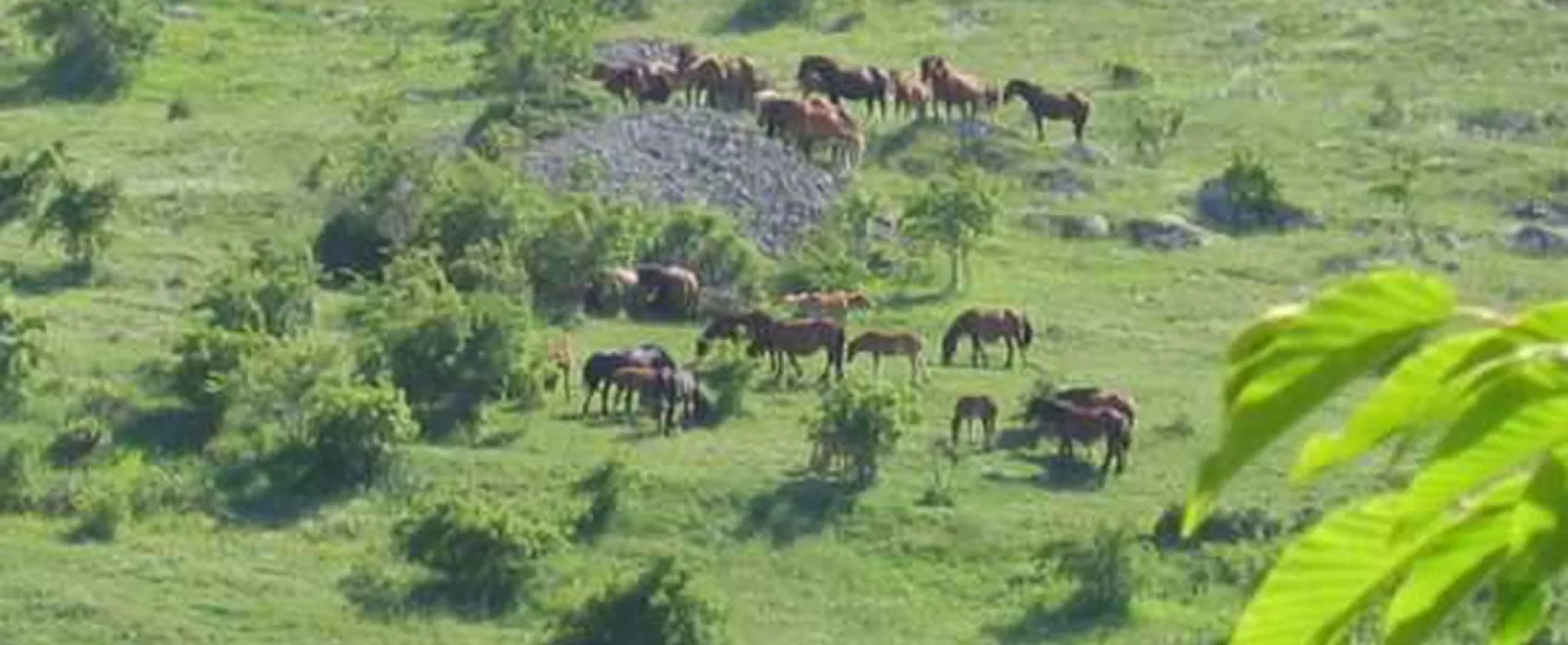 Campeggio Il Vecchio Mulino