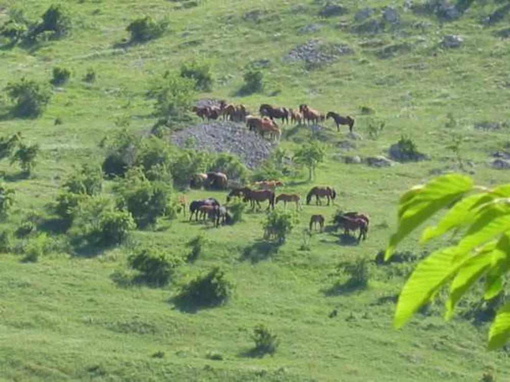 Campeggio Il Vecchio Mulino