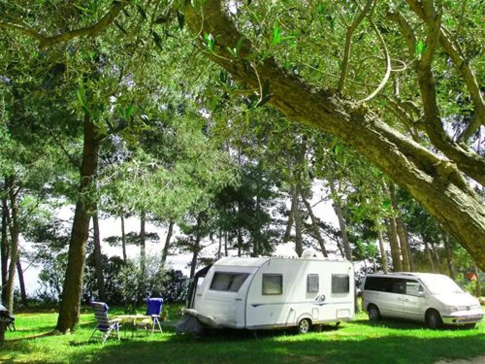 Camping PARK SOLINE