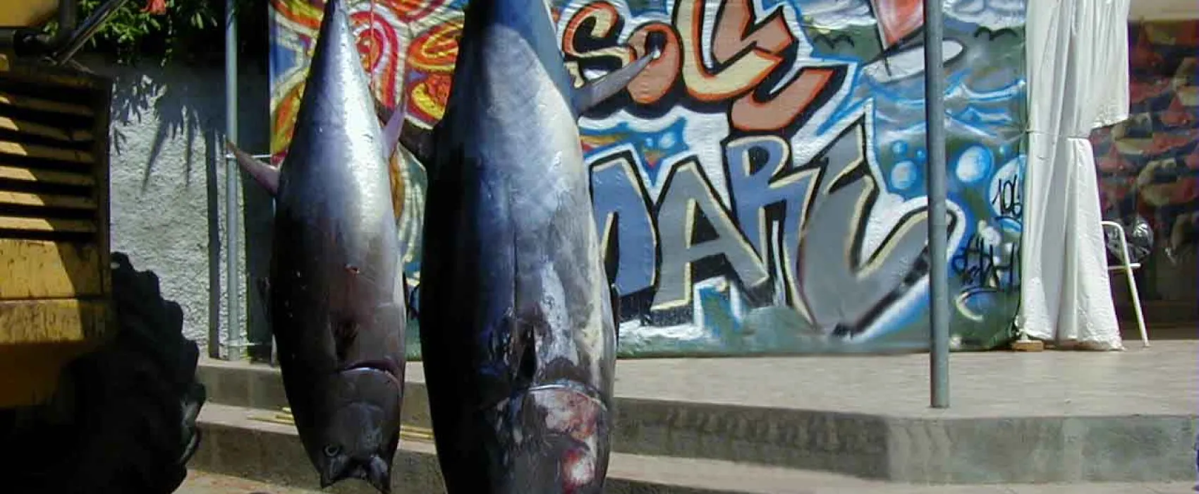 Camping-Villaggio Sole e Mare