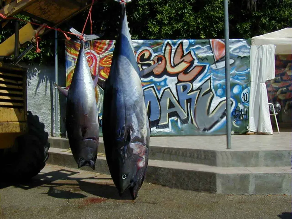 Camping-Villaggio Sole e Mare