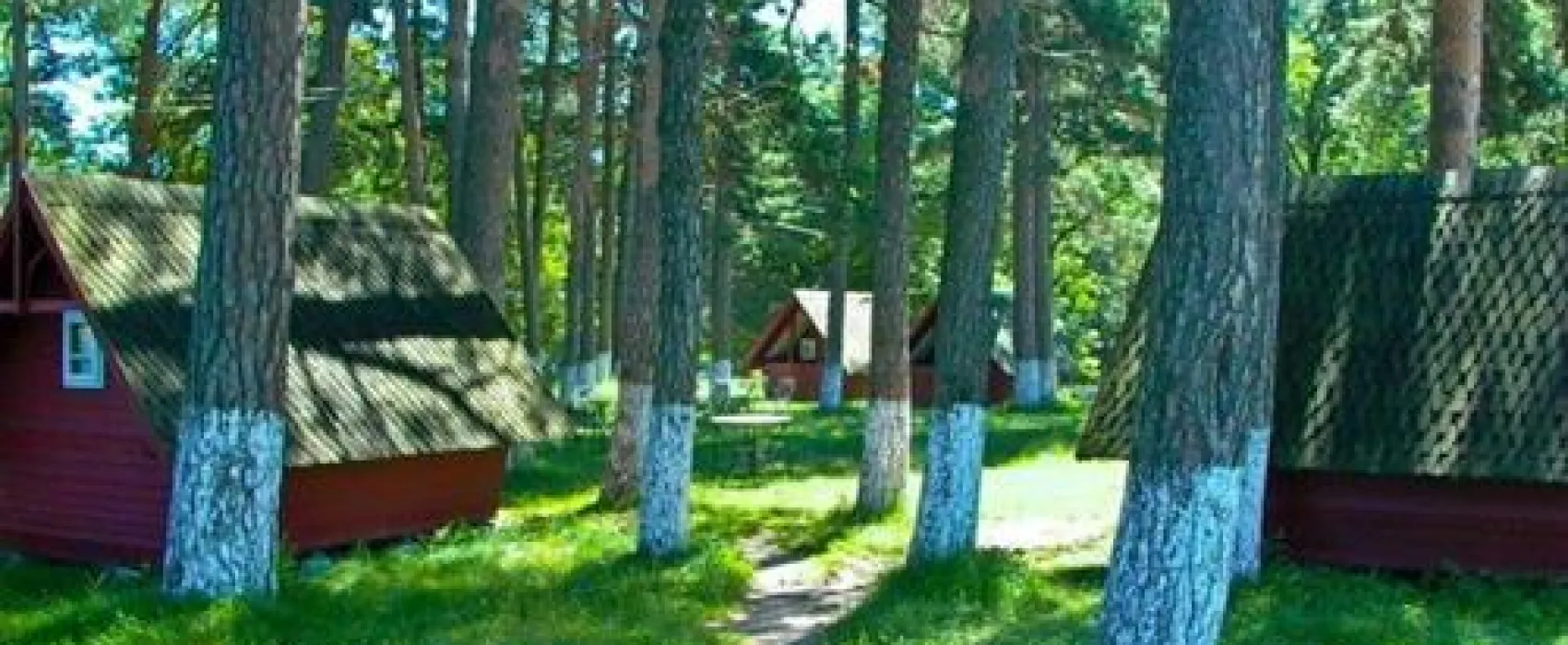 Camping Dragomirna