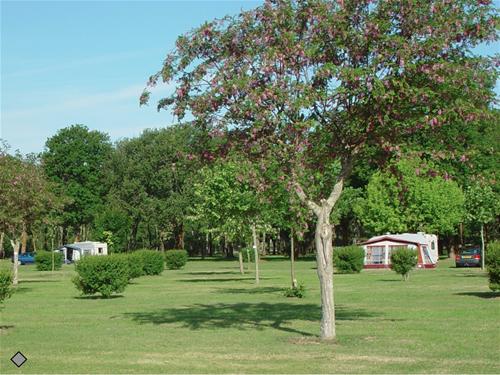 Camping Le Logis du Breuil photo 3