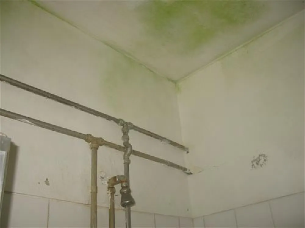 Parque de Campismo Orbitur Mira