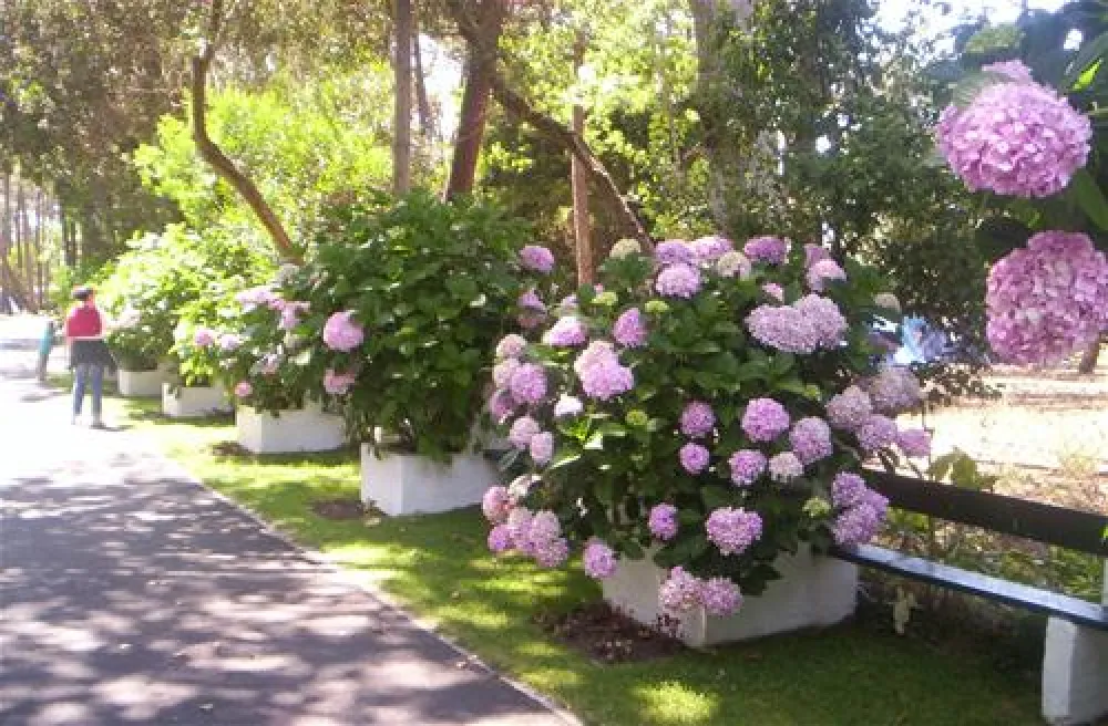 Parque de Campismo Orbitur Mira