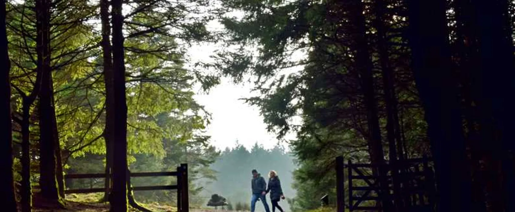 Rossendale Holiday Cottages and Glamping