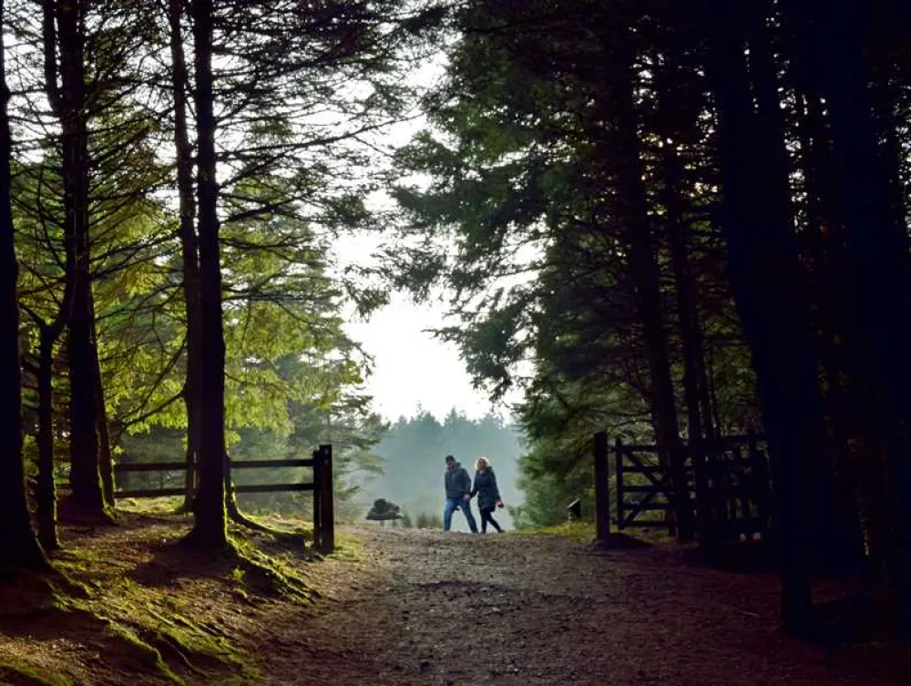 Rossendale Holiday Cottages and Glamping