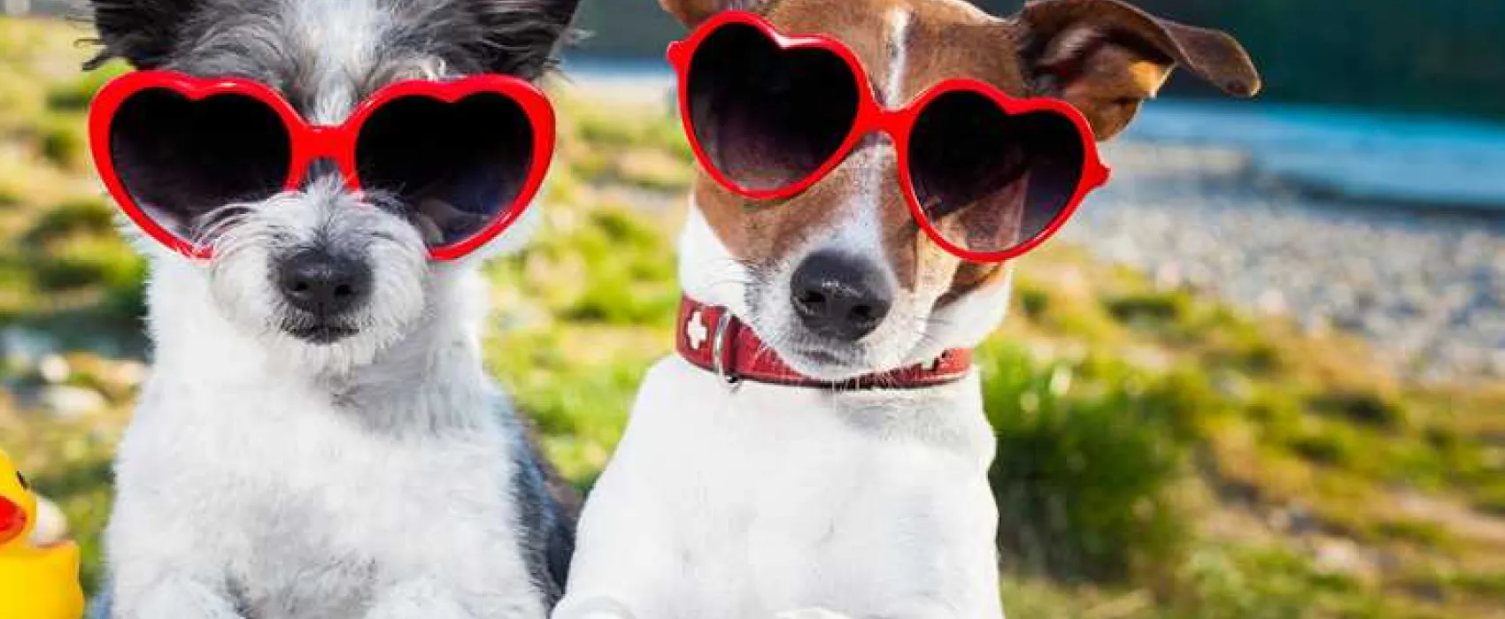 Rossendale Holiday Cottages and Glamping