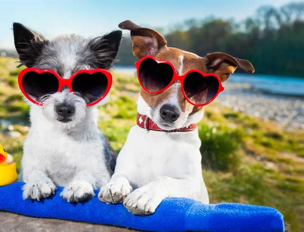 Rossendale Holiday Cottages and Glamping