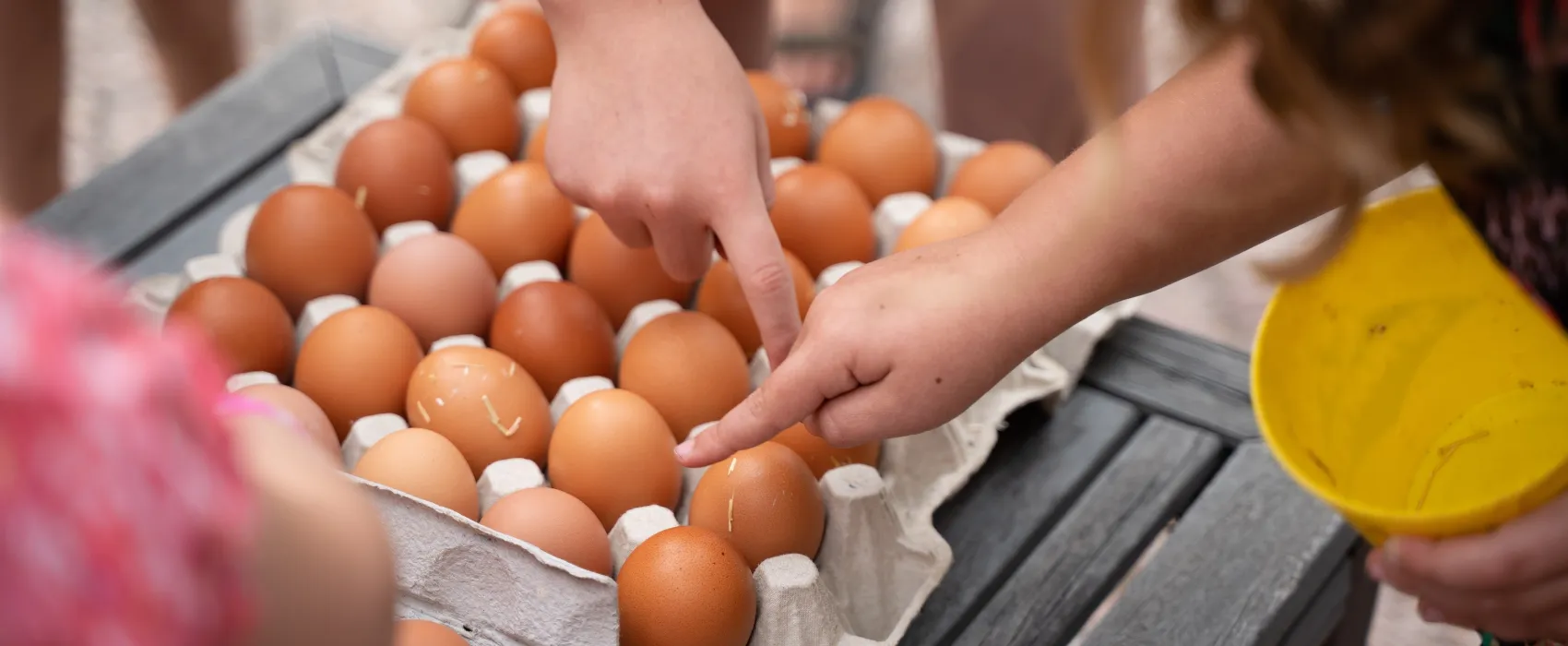 Boerderijcamping Varsenerveld