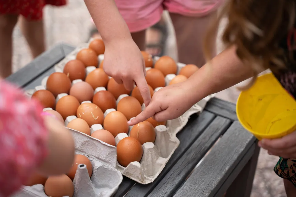 Boerderijcamping Varsenerveld