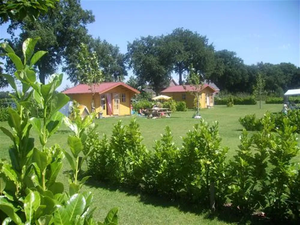 Camping De Kasteelse Bossen