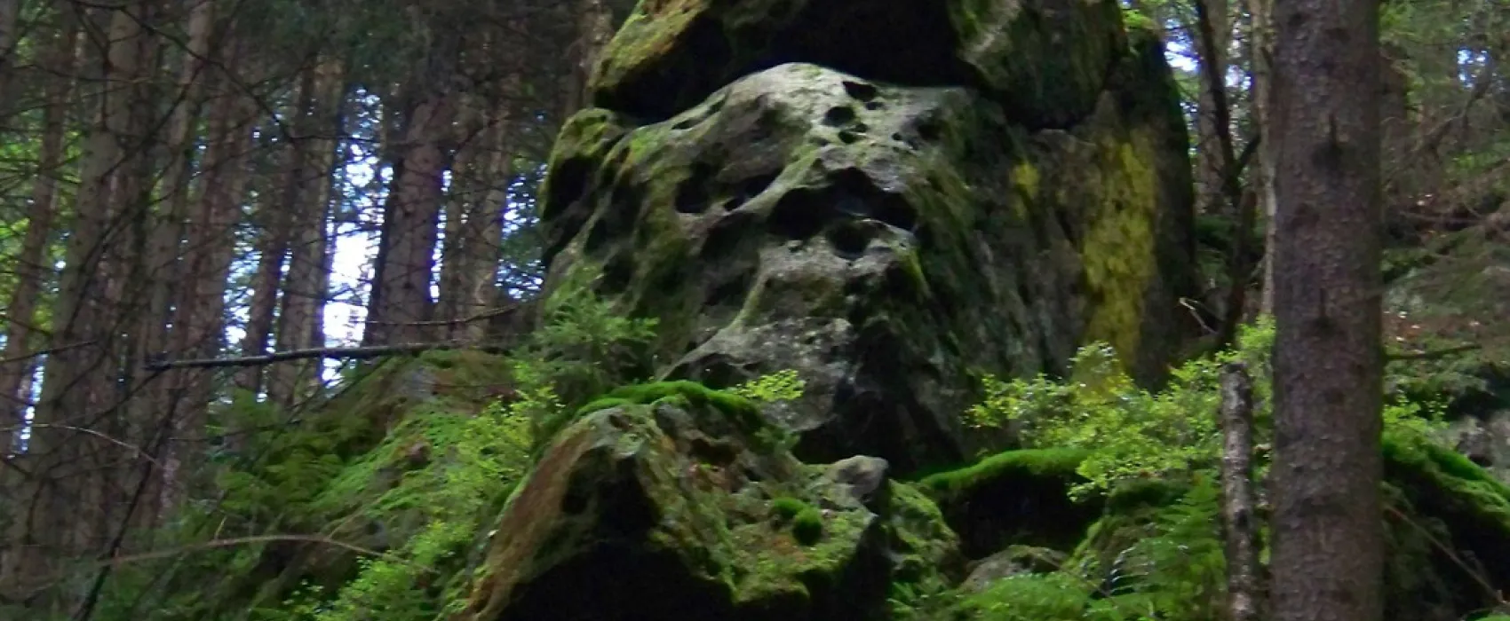 Camping Thorwaldblick ***