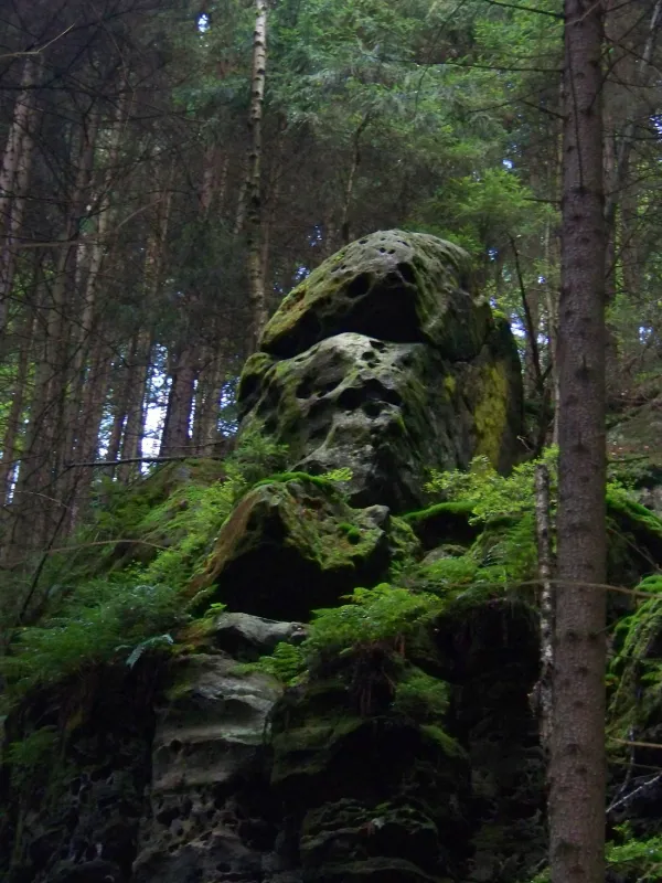 Camping Thorwaldblick ***