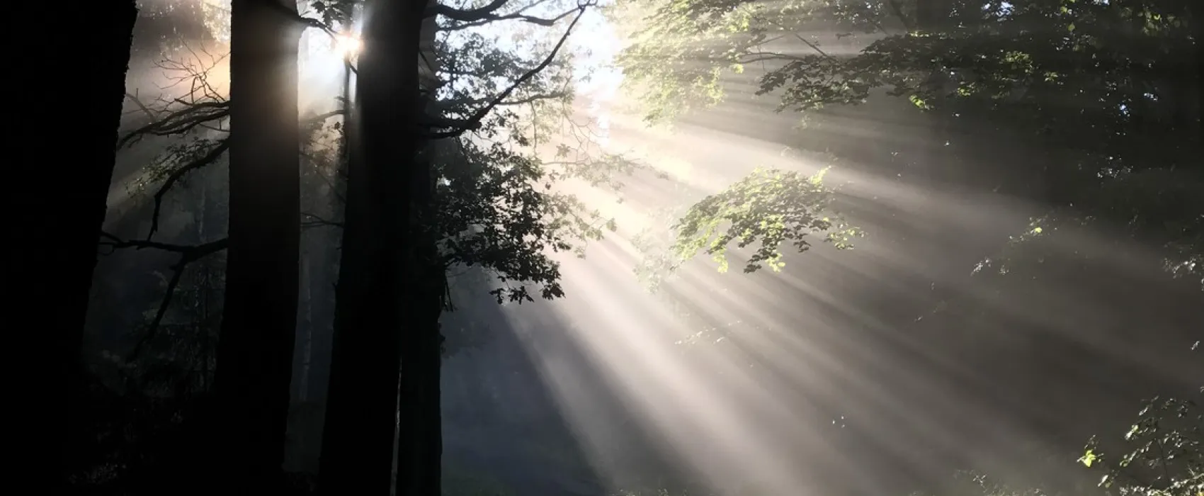 Camping Thorwaldblick ***