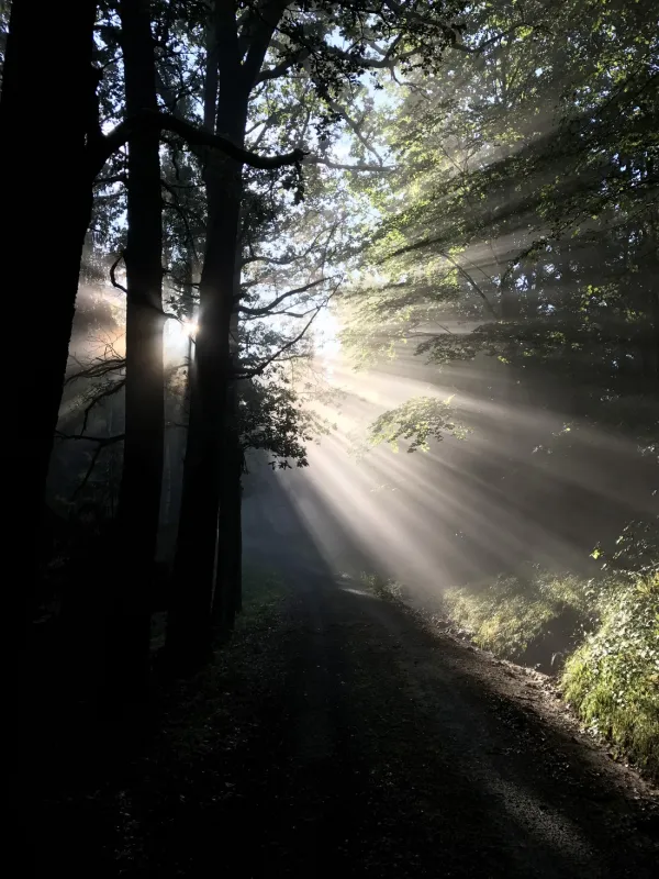 Camping Thorwaldblick ***