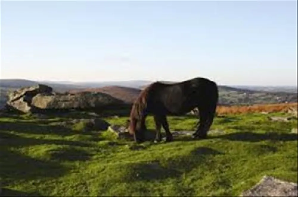 Pennymoor Caravan and Camping Park