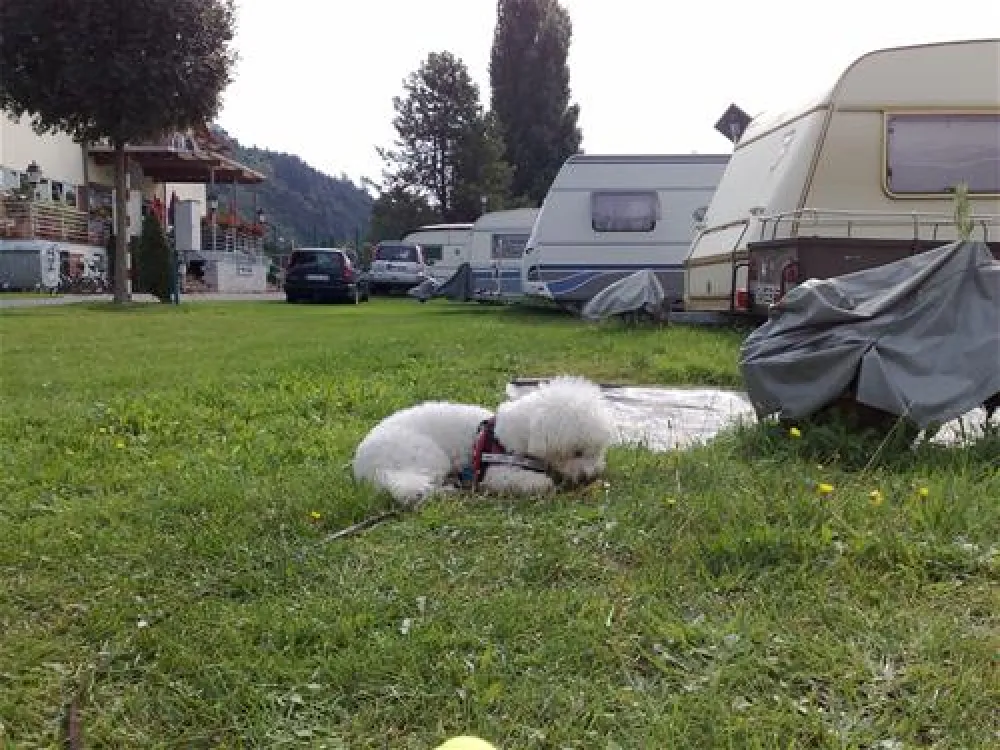 Camping Uferwiese