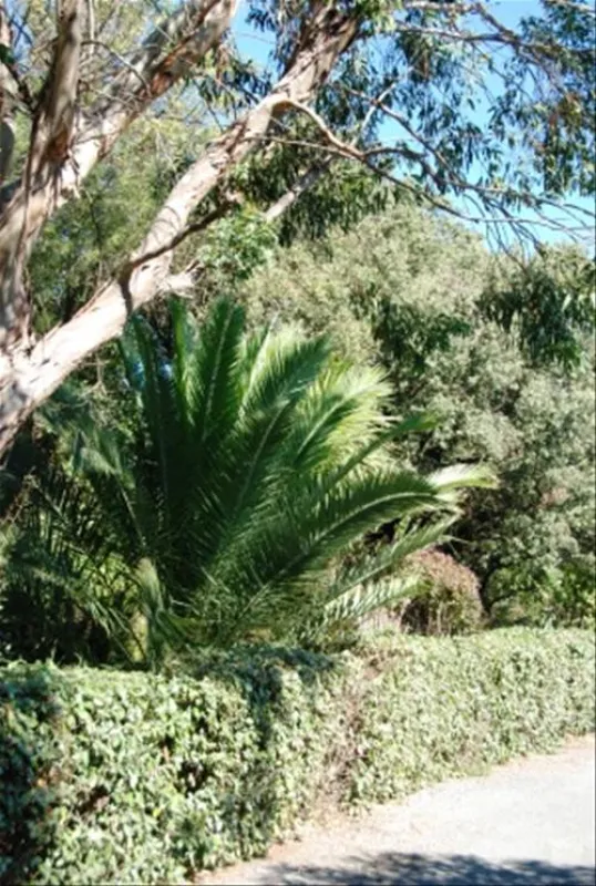 PRL Domaine de Sainte Veziane