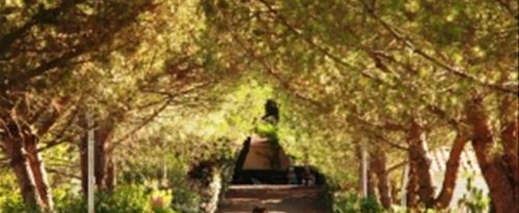 PRL Domaine de Sainte Veziane