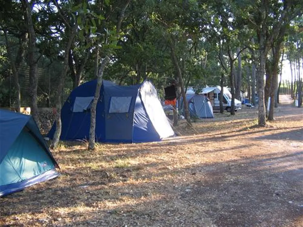 Camping Bosco Selva