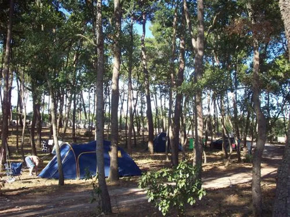 Camping Bosco Selva