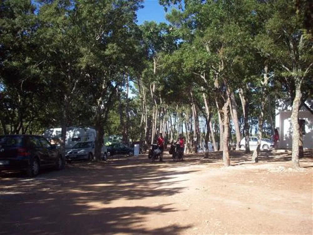 Camping Bosco Selva