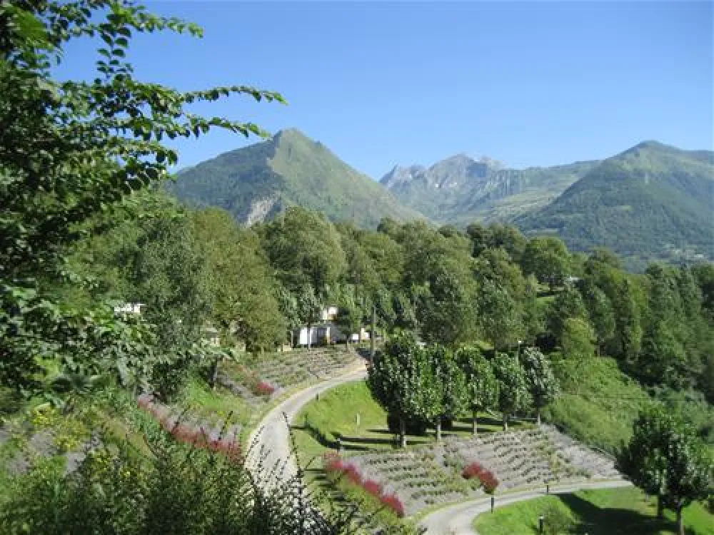 Camping International  