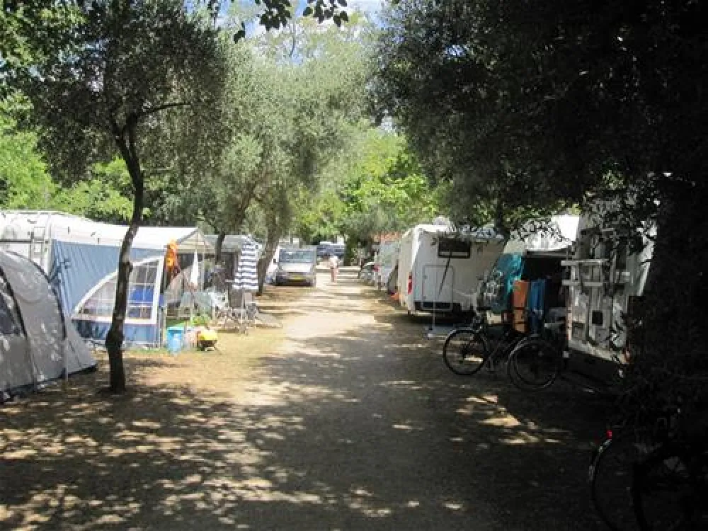 Camping Moce