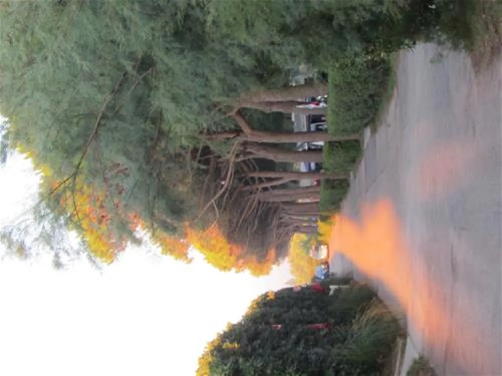 Camping Village Garden Paradiso