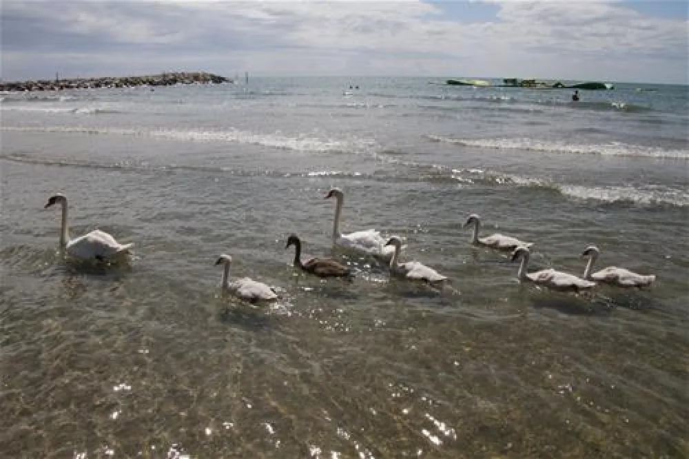 Camping Village Garden Paradiso