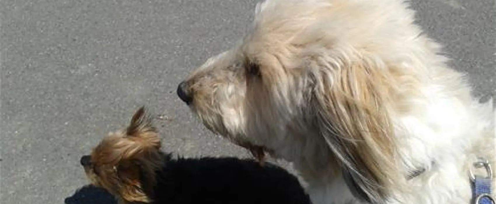 KNAUS Campingpark Burhave