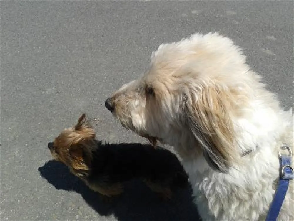 KNAUS Campingpark Burhave