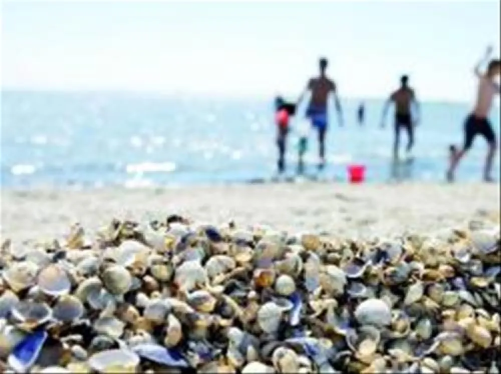 KNAUS Campingpark Burhave