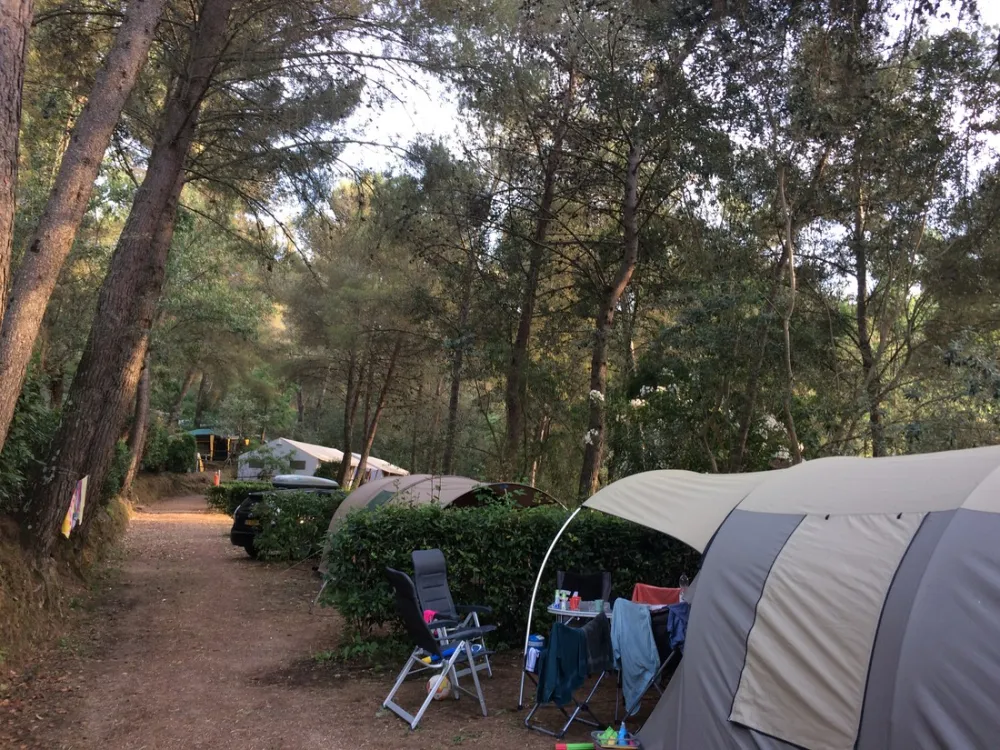 Camping Le Pianacce