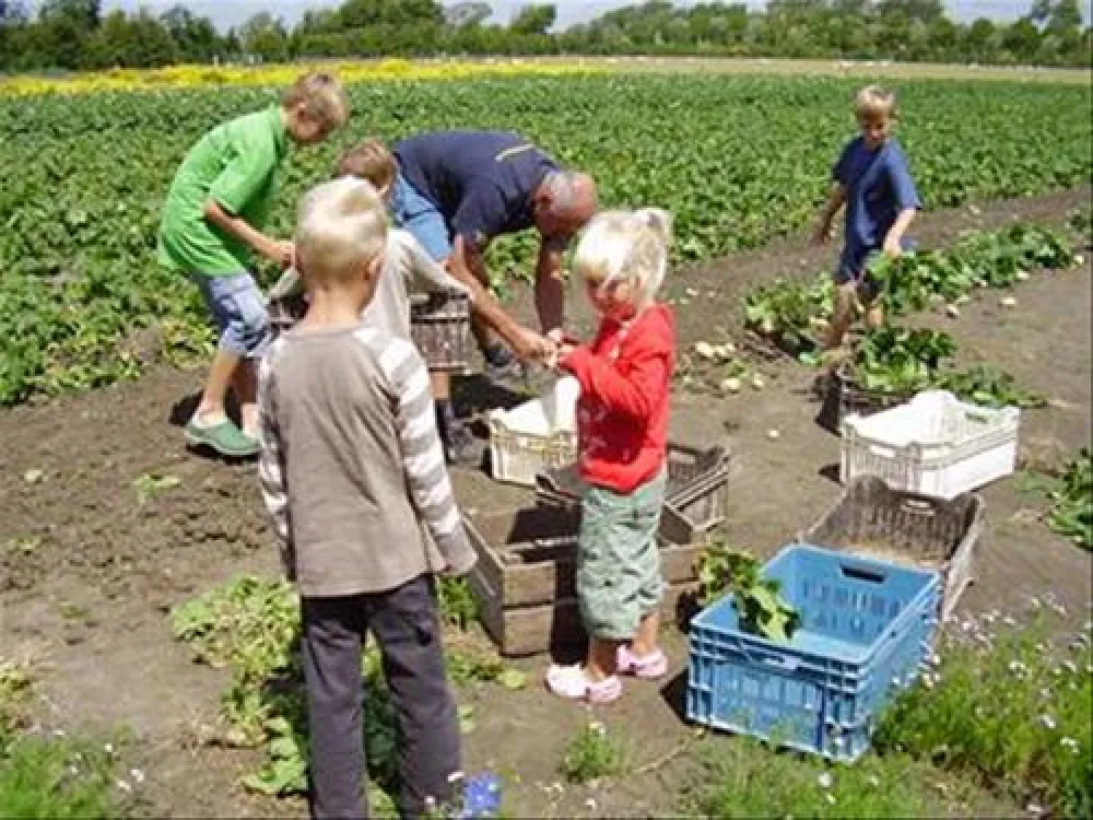 Minicamping De Visser