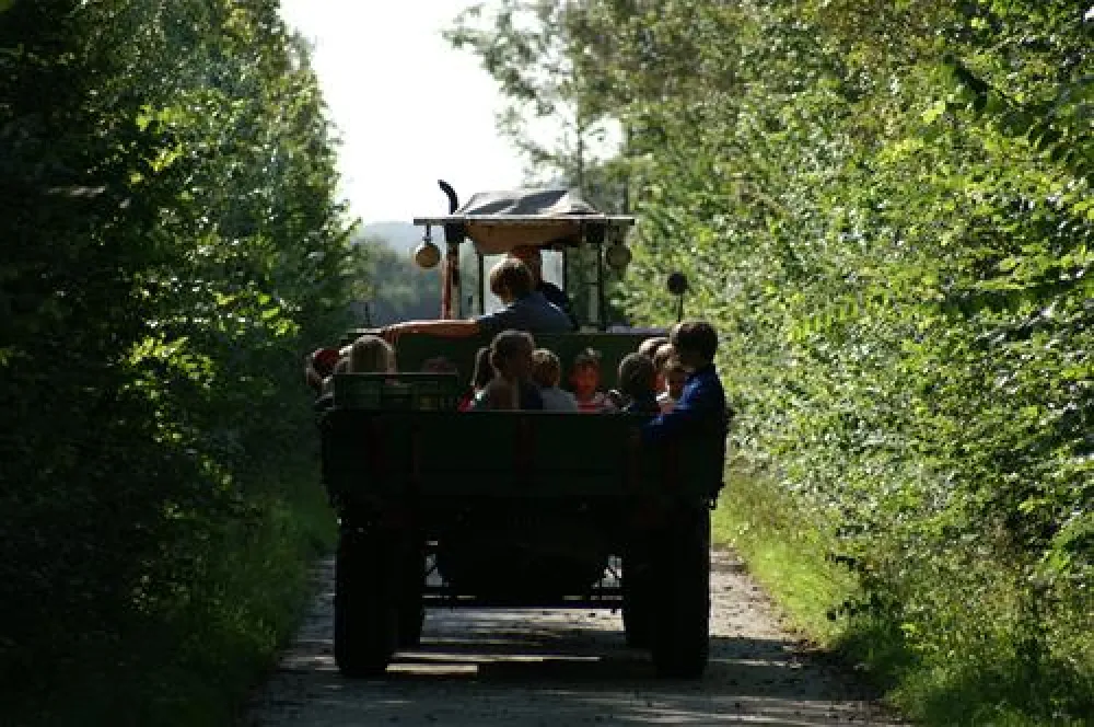 Minicamping De Visser