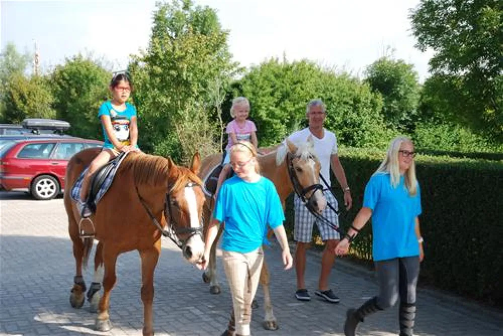 Minicamping De Visser