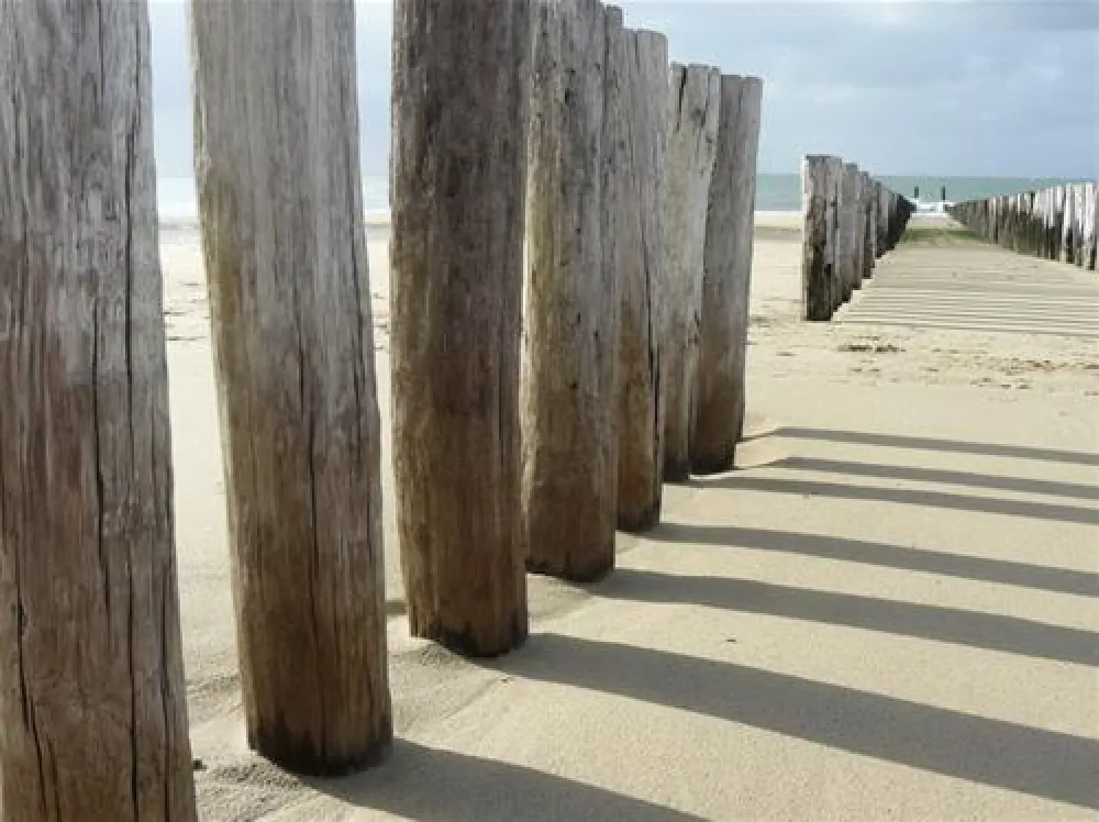 Minicamping De Visser