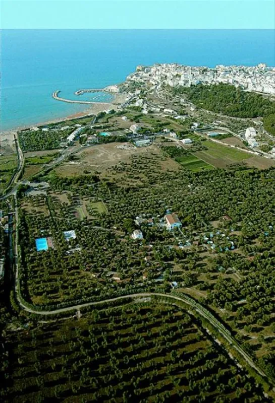 Camping Village Parco Degli Ulivi