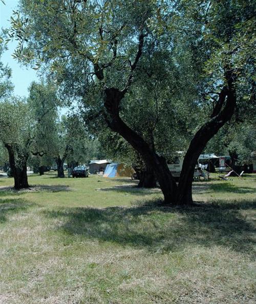 Camping Village Parco Degli Ulivi