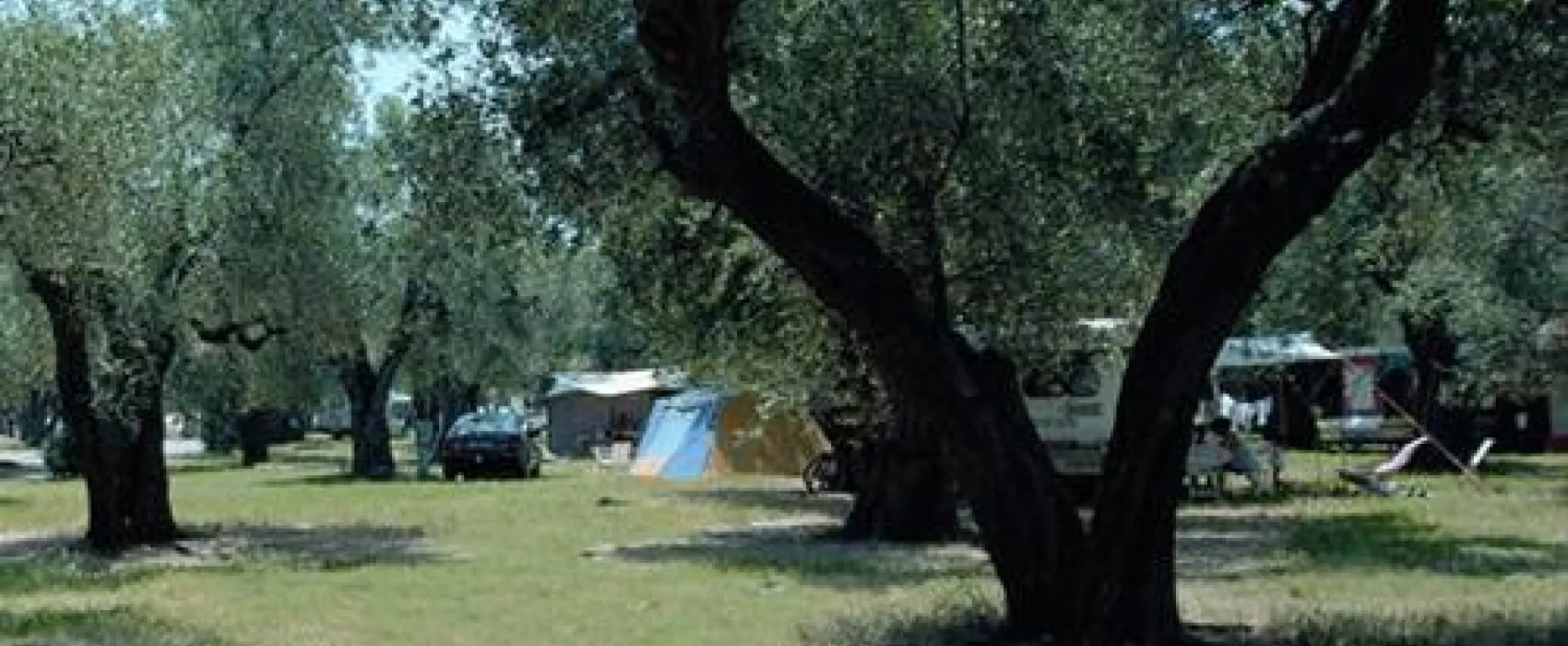 Camping Village Parco Degli Ulivi
