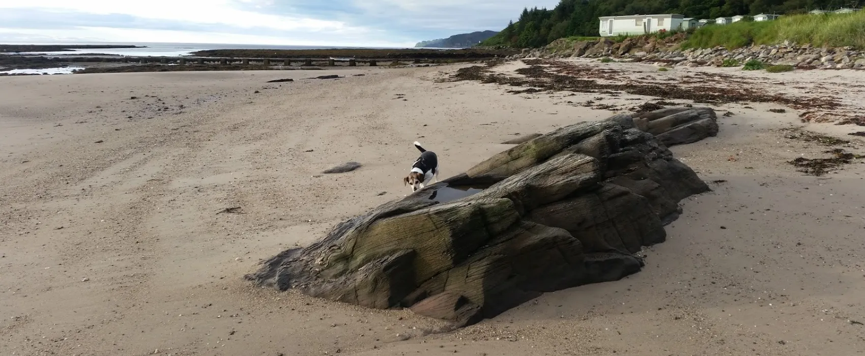 Peninver Sands Caravan Park